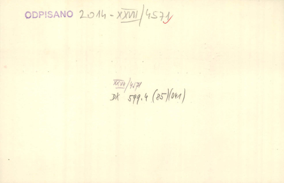 3j26I9LrZ3